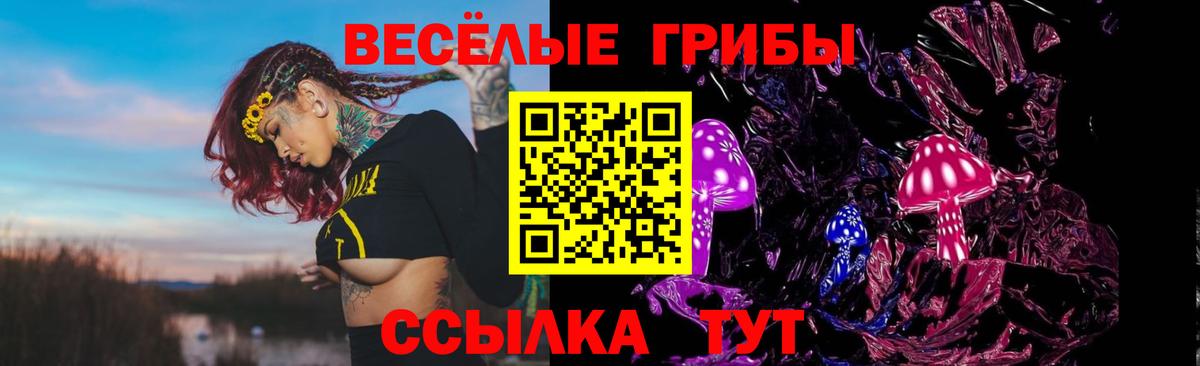 Чебаркуль  Псилоцибиновые грибы Magic Shrooms  Вход с VPN 